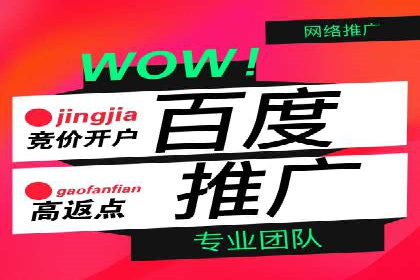 成功案例分享：SEM托管服务助力企业提升竞争力